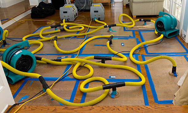 Professional Water Damage Restoration technician working in Greenland, AR